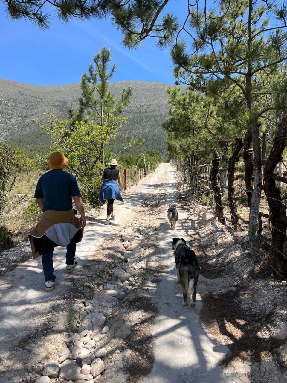 Camping En La Sierra De Arteaga Los Lirios Kültér fotó